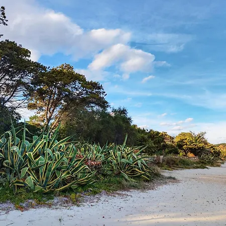 Sa Perla - Pool, Panoramic View, 250m To Seafront, 650m To Beach, Starlink Internet * Marina di Gairo